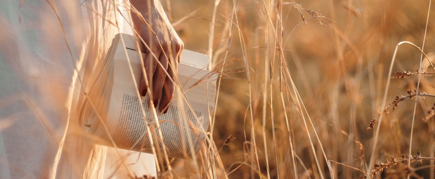 Woman hand holds book in a field